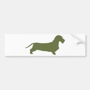 Dachshund Wirehaired Bumper Sticker
