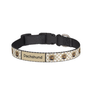 Dachshund (Wirehaired) Painting Original Dog Art Pet Collar