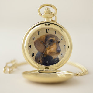 Dachshund (Wirehaired) Painting Original Dog Art Pocket Watch