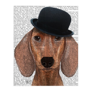 Dachshund with Black Bowler Hat Acrylic Print
