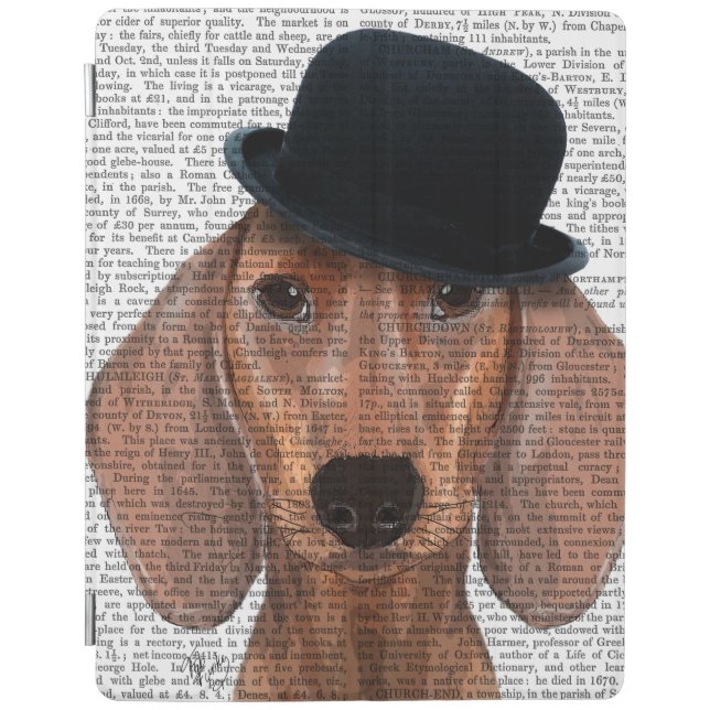 Dachshund with Black Bowler Hat iPad Air Cover (Front)