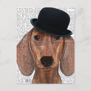 Dachshund with Black Bowler Hat Postcard