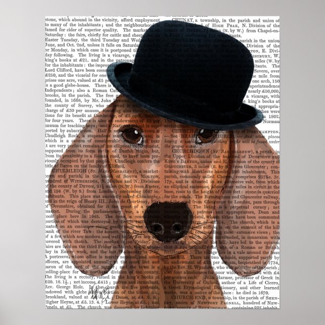 Dachshund with Black Bowler Hat Poster (Front)