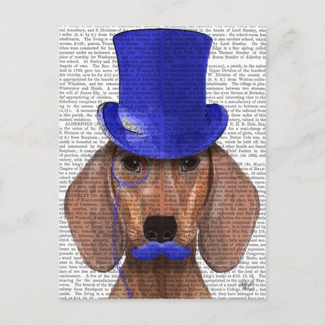 Dachshund With Blue Top Hat and Blue Moustache Postcard (Front)