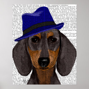 Dachshund With Blue Trilby Poster