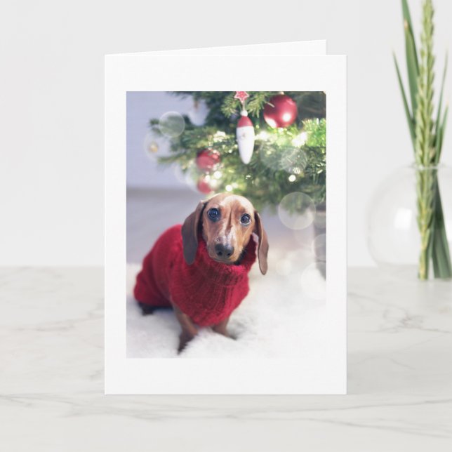 Dachshund with Christmas Tree Christmas Card (Front)