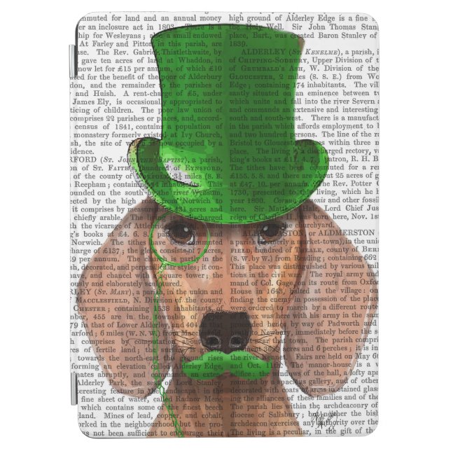 Dachshund With Green Top Hat and Moustache iPad Air Cover (Front)