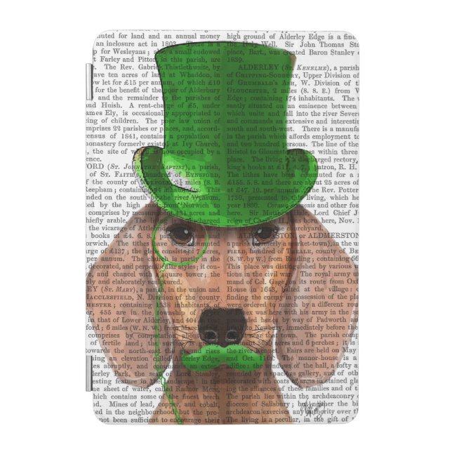 Dachshund With Green Top Hat and Moustache iPad Mini Cover (Front)