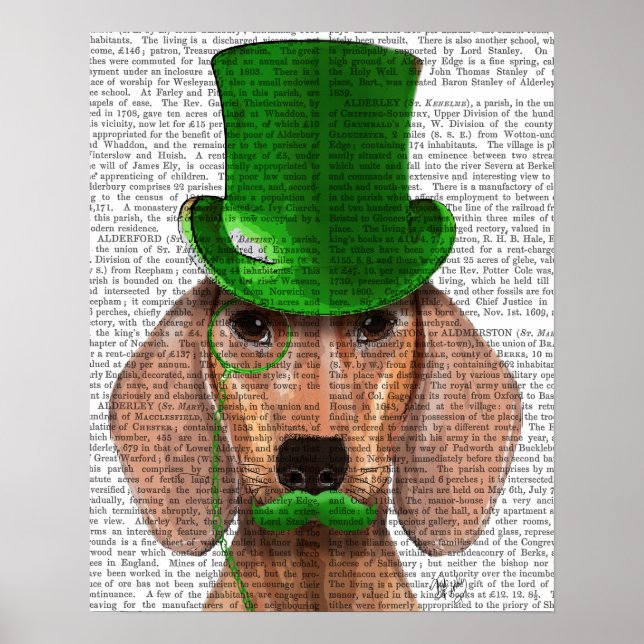 Dachshund With Green Top Hat and Mustache Poster (Front)