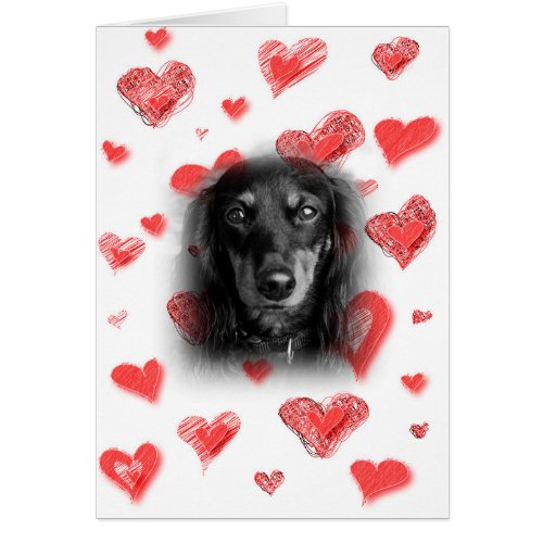 Dachshund with Red Hearts Card