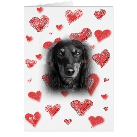 Dachshund with Red Hearts Card (Front)