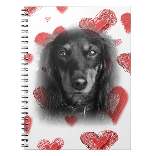 Dachshund with Red Hearts Notebook