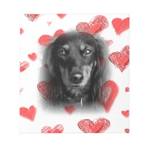 Dachshund with Red Hearts Notepad