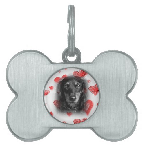 Dachshund with Red Hearts Pet Tag
