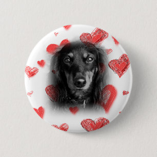 Dachshund with Red Hearts Pinback Button