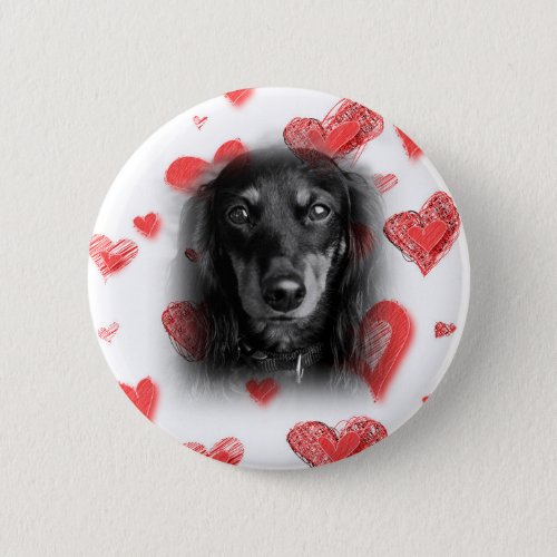 Dachshund with Red Hearts Pinback Button