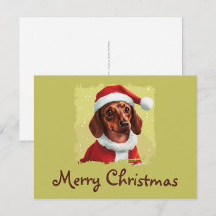 Dachshund With Santa Claus Outfit - Christmas 1 Postcard