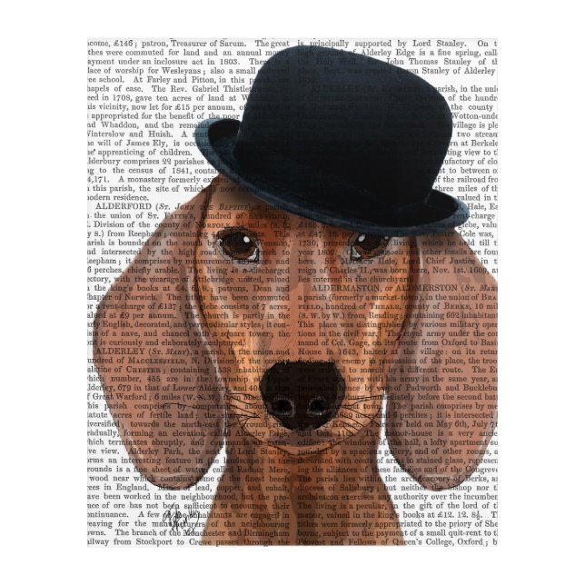 Dachshund with Steampunk Bowler Hat Acrylic Print (Front)