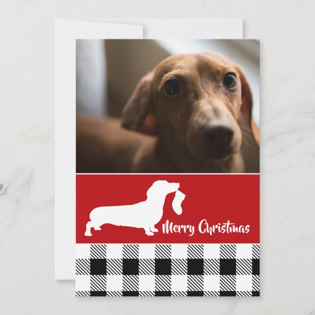 Dachshund with Stocking Holiday Photo Card (Front)