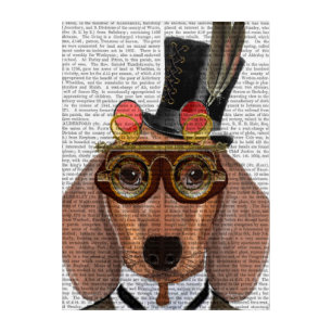 Dachshund with Top Hat and Goggles Acrylic Print