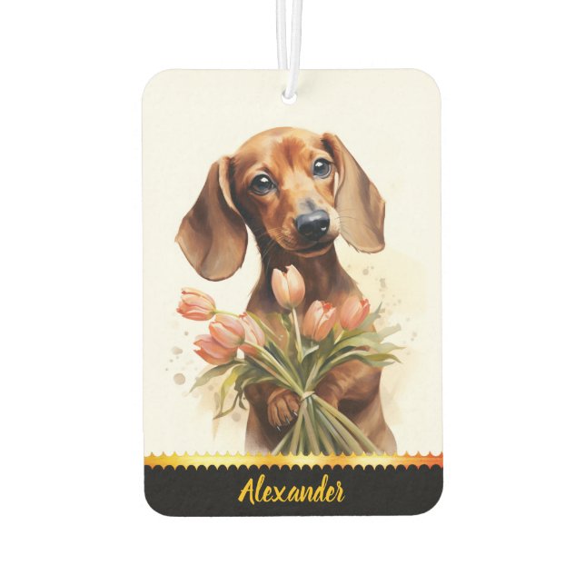 Dachshund with tulips in sunny garden, air freshener (Back)