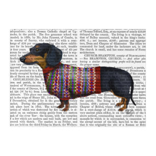 Dachshund With Woolly Sweater Acrylic Print