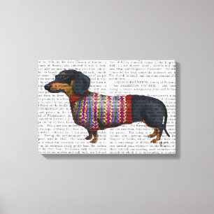 Dachshund With Woolly Sweater Canvas Print