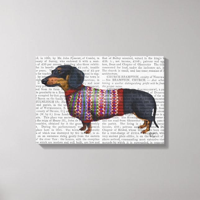 Dachshund With Woolly Sweater Canvas Print (Front)