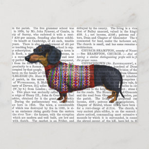 Dachshund With Woolly Sweater Postcard