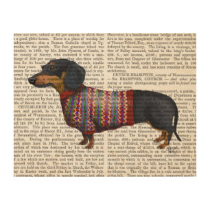 Dachshund With Woolly Sweater Wood Wall Art