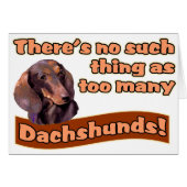 DACHSHUNDS (Front Horizontal)