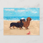Dachshunds At The Beach Postcard at Zazzle