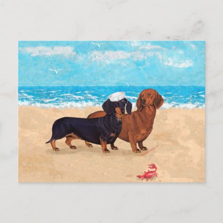 Dachshunds At The Beach Postcard