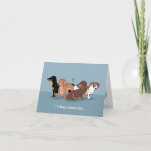Dachshunds Card