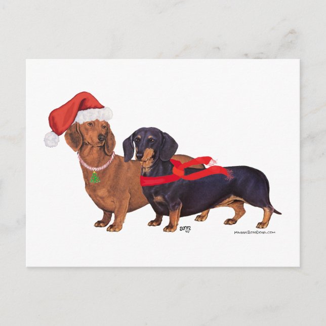 Dachshunds Christmas Holiday Postcard (Front)