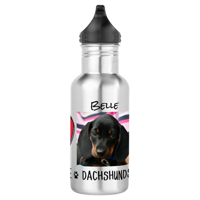 Dachshunds Dog Owners  Stainless Steel Water Bottle (Right)
