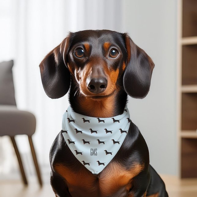 Dachshunds Dogs Pattern Monogrammed Pet Bandana Collar (Creator Uploaded)