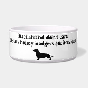 Dachshunds eat honey badgers bowl