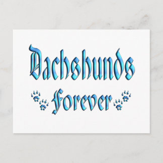 Dachshunds Forever Postcard