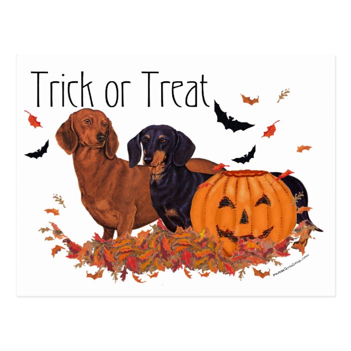 Dachshunds Halloween Postcard | Zazzle.com