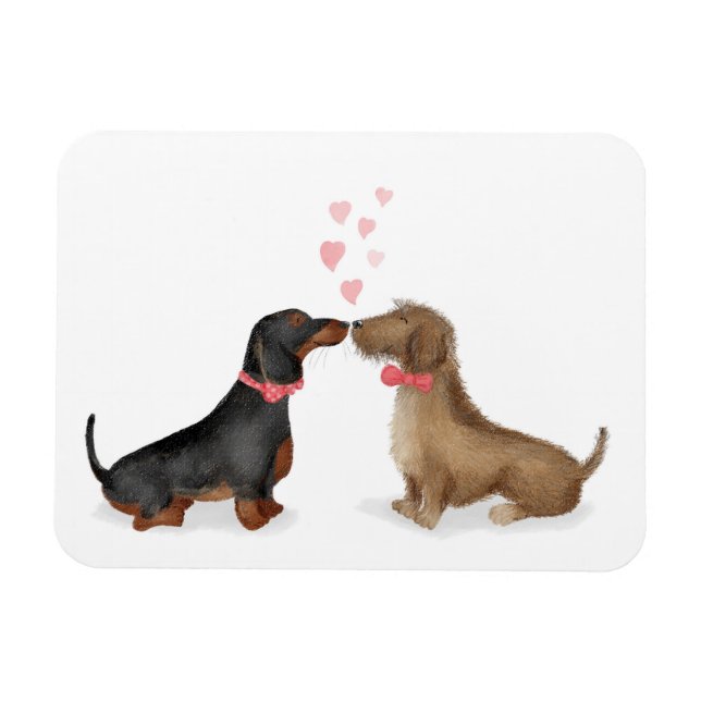 Dachshunds in love fridge magnet (two boys) (Horizontal)