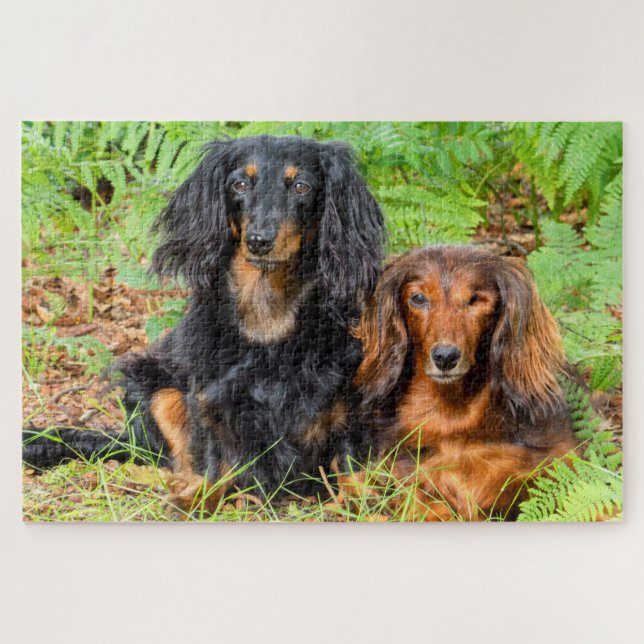 Dachshunds Jigsaw Puzzle (Horizontal)