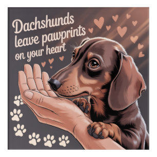 Dachshunds Leave Pawprints On Your Heart Acrylic Print
