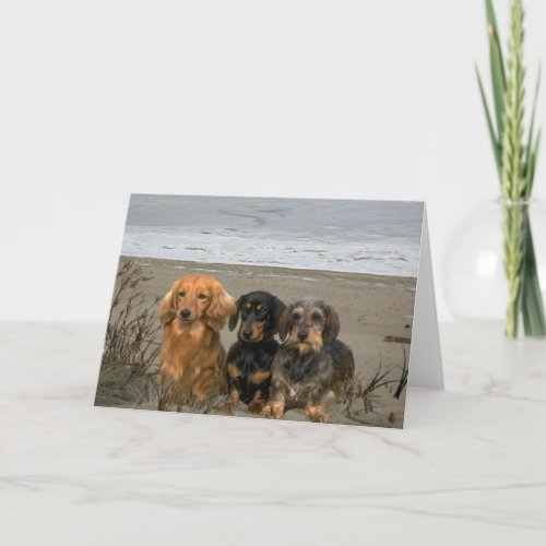 Dachshunds On The Beach Card