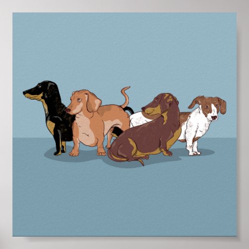 Dachshunds Poster