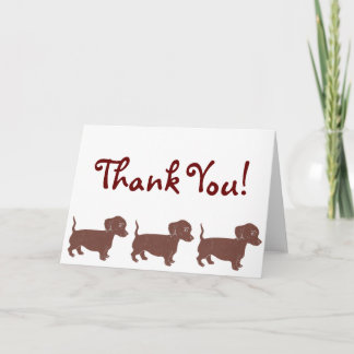 Dachshunds Thank You Card