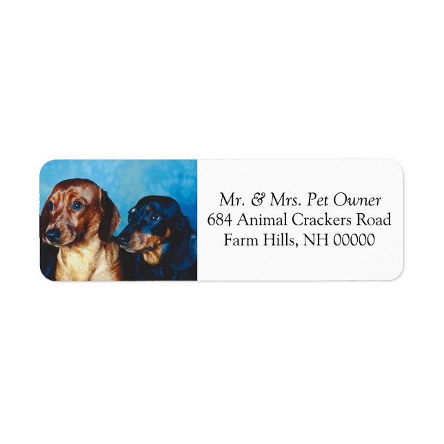 Dachsund Puppies Return Address Mail Stickers (Front)
