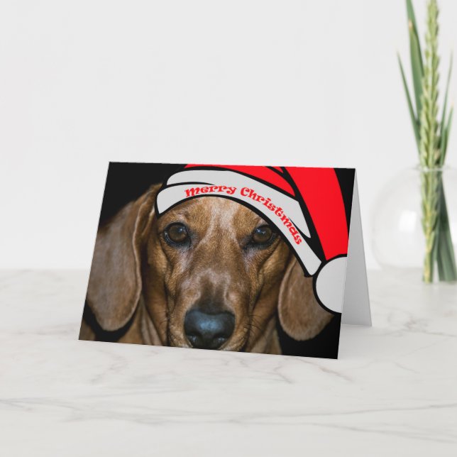 Dachsund's Merry Christmas Card (Front)