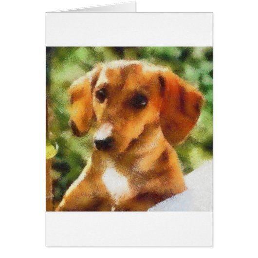 Dachsy Cards (Front)