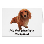 "Dackel" (Front Horizontal)